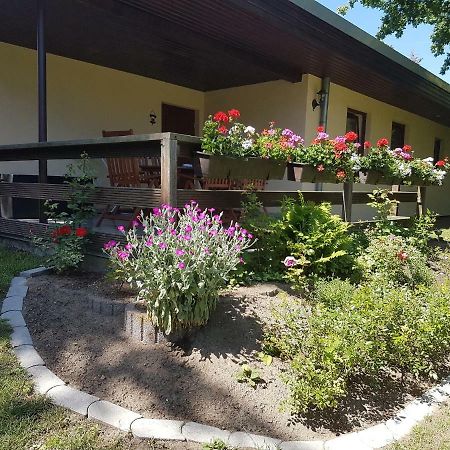 Appartement Ferienwohnanlage "Am Bernsteinsee" à Dierhagen Extérieur photo