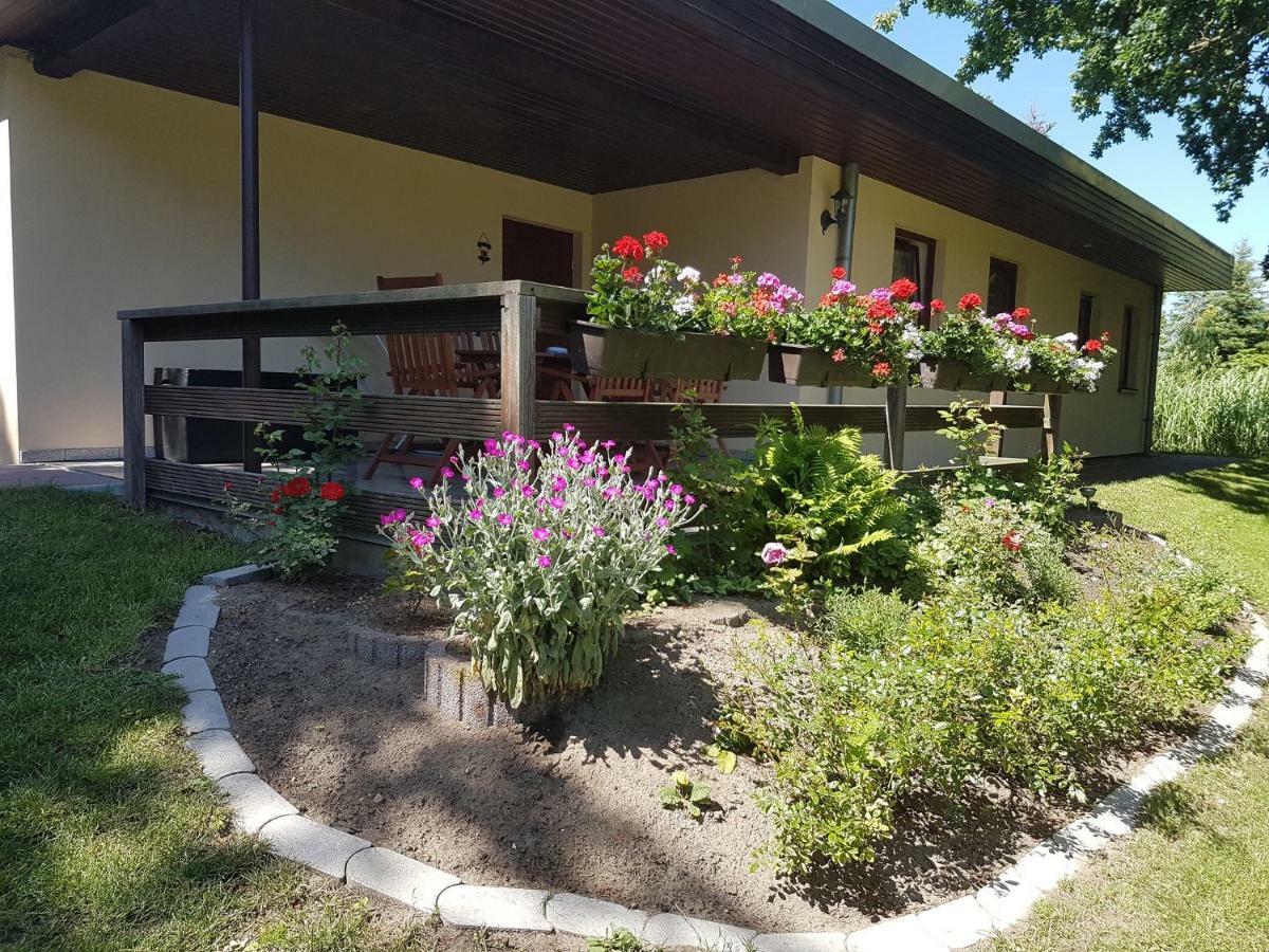 Appartement Ferienwohnanlage "Am Bernsteinsee" à Dierhagen Extérieur photo
